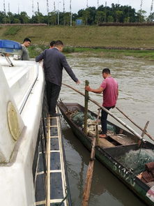 南溪區(qū)開展國(guó)慶節(jié)前漁船安全生產(chǎn)專項(xiàng)檢查，確保畜牧漁業(yè)飼料銷售與漁業(yè)生產(chǎn)安全