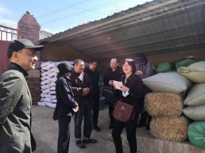 全國畜牧總站深入尋甸開展調研，共繪現代畜牧業與飼料銷售新藍圖